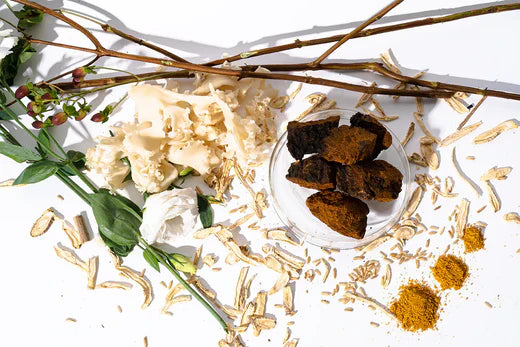 a collection of leaves, branches, and mushrooms on a white surface